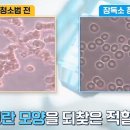 제왕장 이미지