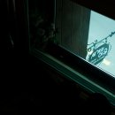 세개의 여유 이미지