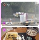 에이바이봄 / 그레이스케일 / 클라라웨딩 / 아티디 헤어변형 / 달리아플라워 부케 / 승모근보톡스 후기)