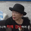 사미자 카카오 검색결과