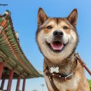 대신볼트 이미지