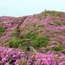 허브밸리(원형광장) 이미지