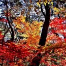 길상초등학교 이미지