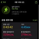 신상정육