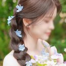 이수진헤어 - 북구 | 이수진헤어