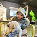 새별농장 이미지