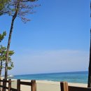 강릉멍릉도원애견펜션 이미지