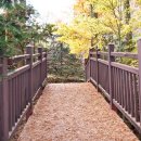 장태산휴양림 이미지