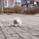 원주브리딩 이미지