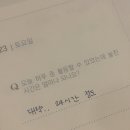 대동로2-R | 개 강해지는날 💪