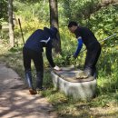 봉황섬터 이미지