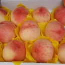 백월농장 이미지