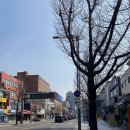 챔프 이미지