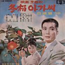 동백아가씨 이미지