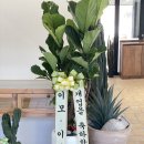 커피 선인장(suninjang) | 합정신상카페, 2월에 오픈한 선인장 suninjang