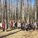 서울숲12 이미지