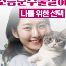 참편한여성의원 이미지