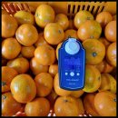 초월농장 이미지