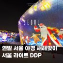 카카오 프렌즈 동대문 | 서울라이트 DDP 겨울 미디어 아트 후기 새해맞이 카운트다운까지
