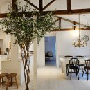 고내리본 이미지