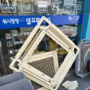 워시팡팡 앤 미스터컵