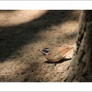 서울숲1 이미지