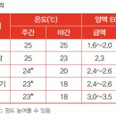 착색단고추(파프리카) 파종 및 육묘 이미지