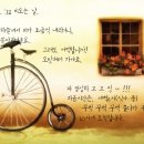 세인가헤어 이미지