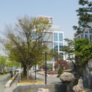 동작충효길 5코스 보라매길 이미지
