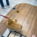 (주)한솔라이프 이미지