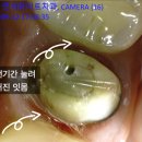 리엔치과의원 이미지