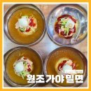 원조밀면 - 남구 월평로187번길 9 | 부산밀면맛집 찾는다면｜원조가야밀면 후기