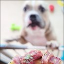 혼자멍냥 이미지