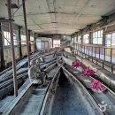 삼탄아트마인 이미지