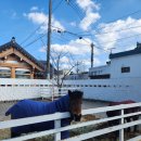 화산숯불&손두부 | 1박 2일 : 정화송이순두부, 테를지, 더테라스호텔, 화산숯불, 백년손님, 국립경주박물관, 커피플레이스