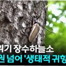 하늘소 - 광명시 오리로964번길 23-1 | 하늘소