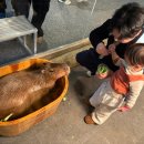 신비소리 | 가평 두돌 아기랑 실내 신비동물원 아쿠아가든 방문 후기