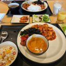 리브포레스트 | 삼성 영덕연수원 2일차 - 벌영리 메타세콰이어 숲, 리브포레스트 카페 방문 후기