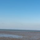 브릭스테이 이미지