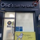 올리스 펫 쌀롱 이미지