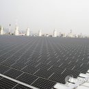 스타태양광발전소 이미지
