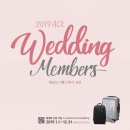 (주)에이스지오
