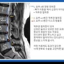 압구정노트정형외과의원 이미지