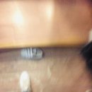 샤브향대천점 | 대천 보령 가볼만한곳 샤브향 보령점 방문 &amp; 후기.