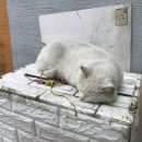 2종 보통 운전면허 취득 후기(해운대 명진자동차운전전문학원)