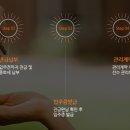 부동산가이드공인중개사사무소 이미지