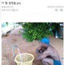 콩쥐팥쥐