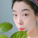 아르스갤러리
