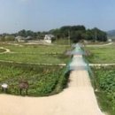 강나루 오토캠핑장 이미지