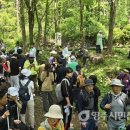 죽령 옛길 이미지